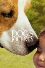 Nonton film Streaming A Dog’s Journey (2019) Download Movie lk21 terbaru
